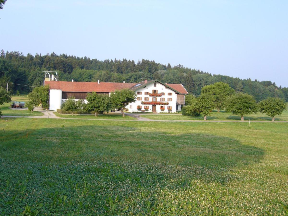 Lohnerhof Villa Kirchanschoring Exteriör bild